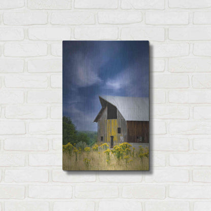 Luxe Metal Art  'Old Barn In A Summer Field'  by Don Schwartz, Metal Wall Art,16x24