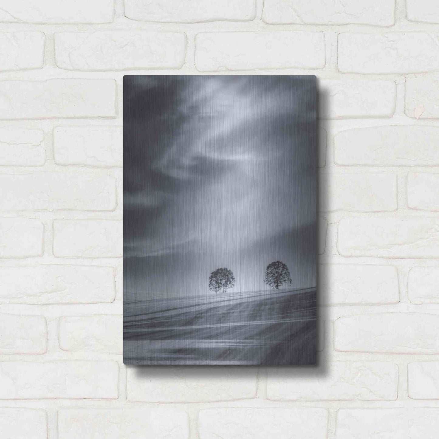 Luxe Metal Art  'Two Trees On A Hillside'  by Don Schwartz, Metal Wall Art,12x16