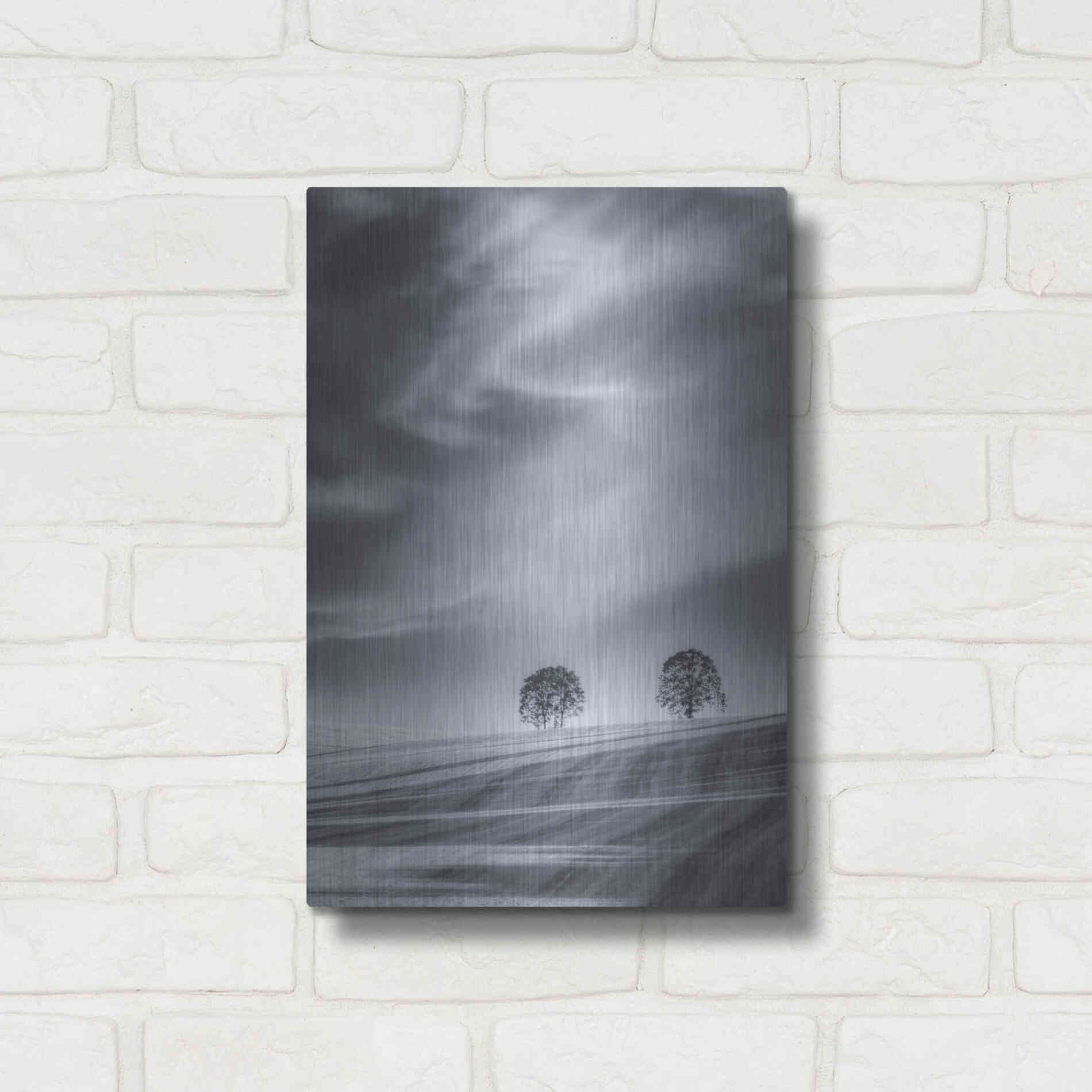 Luxe Metal Art  'Two Trees On A Hillside'  by Don Schwartz, Metal Wall Art,12x16