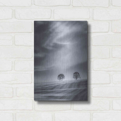 Luxe Metal Art  'Two Trees On A Hillside'  by Don Schwartz, Metal Wall Art,12x16