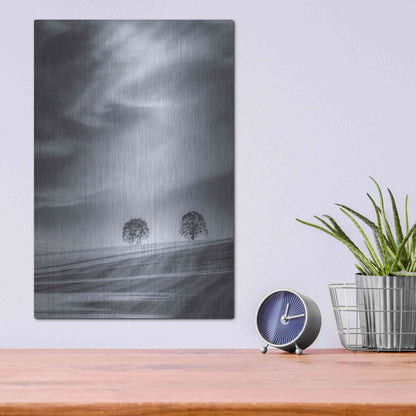Luxe Metal Art  'Two Trees On A Hillside'  by Don Schwartz, Metal Wall Art,12x16