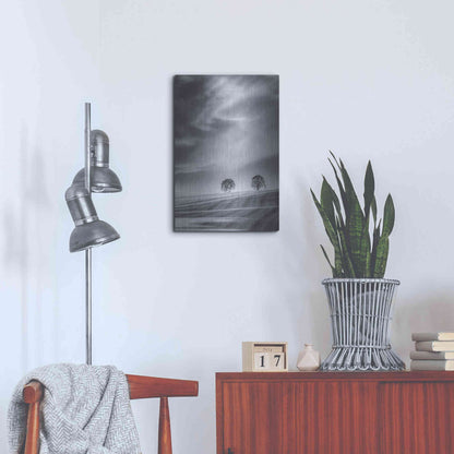 Luxe Metal Art  'Two Trees On A Hillside'  by Don Schwartz, Metal Wall Art,16x24
