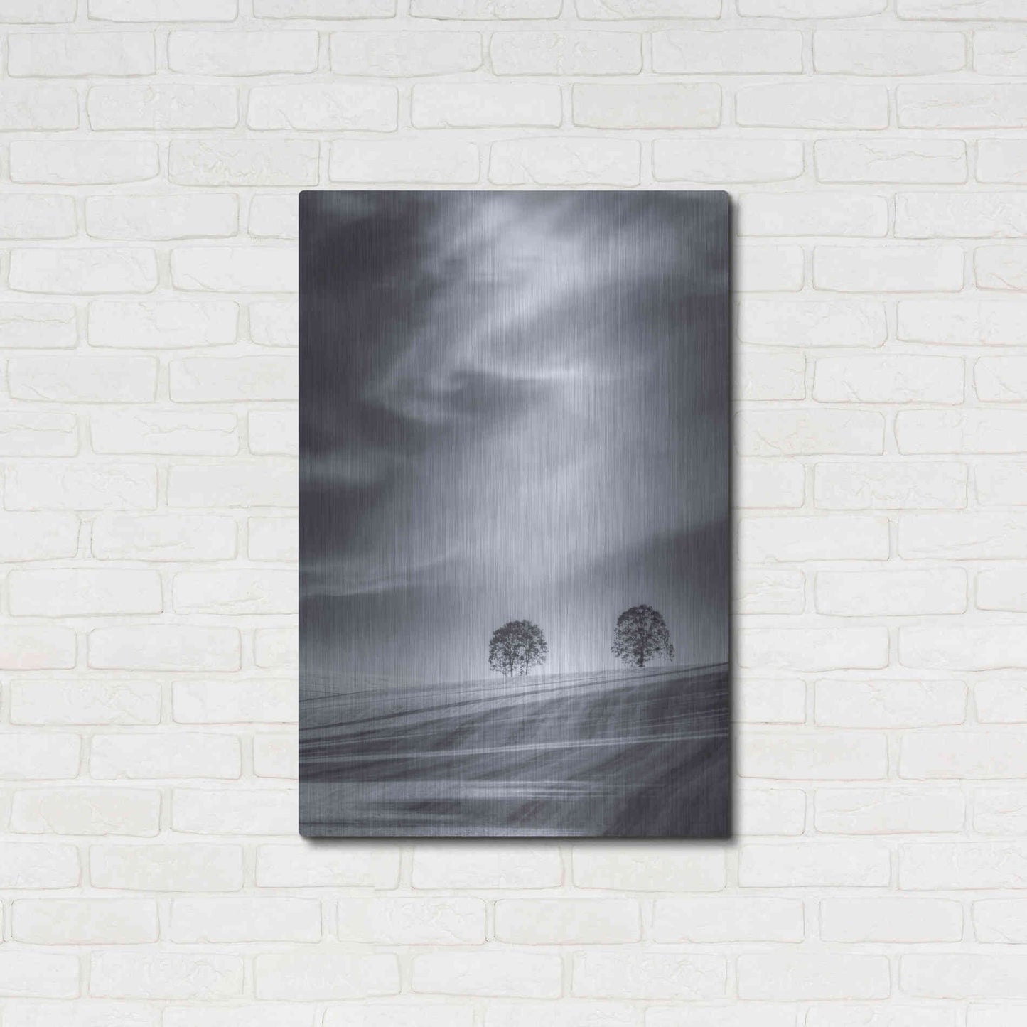 Luxe Metal Art  'Two Trees On A Hillside'  by Don Schwartz, Metal Wall Art,24x36