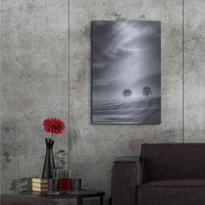 Luxe Metal Art  'Two Trees On A Hillside'  by Don Schwartz, Metal Wall Art,24x36