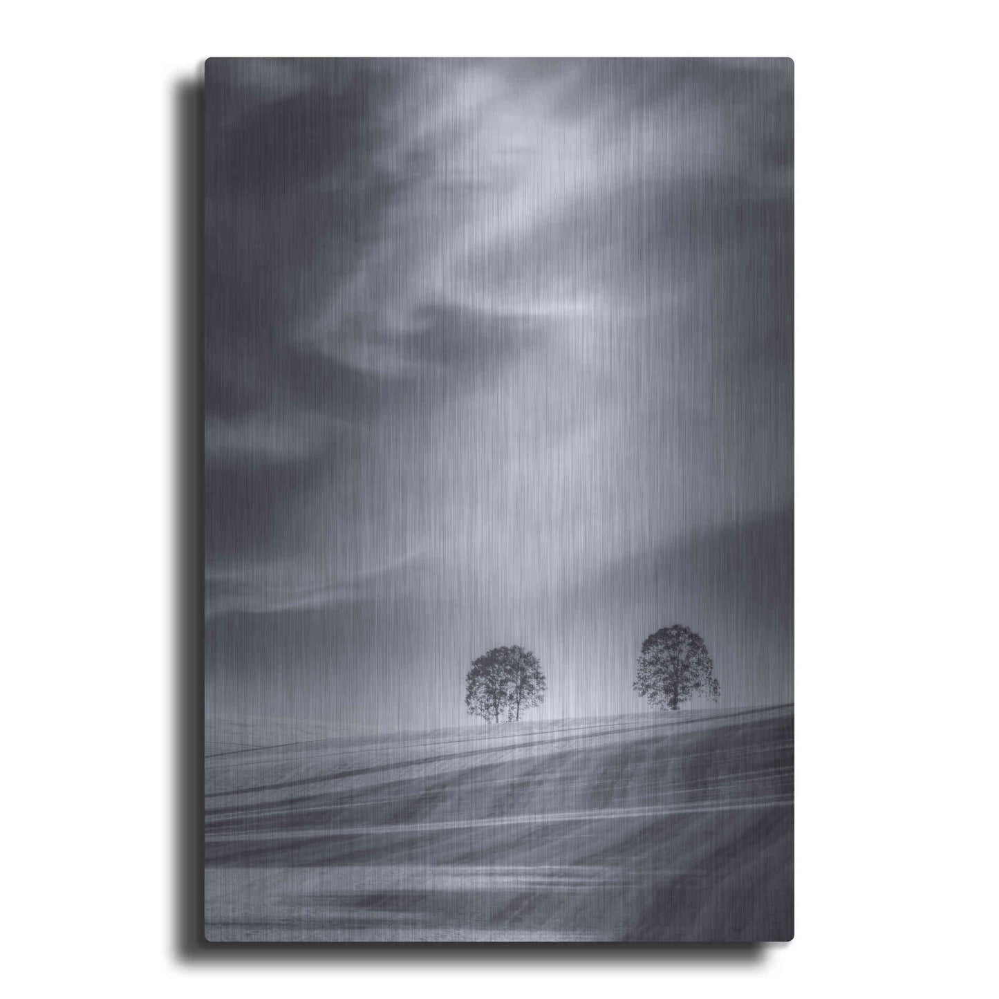 Luxe Metal Art  'Two Trees On A Hillside'  by Don Schwartz, Metal Wall Art