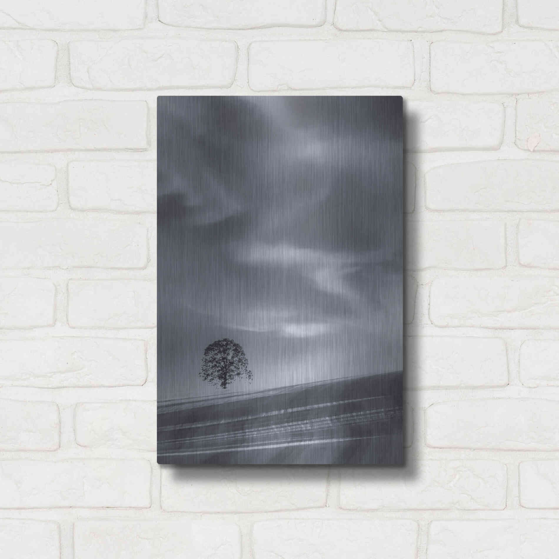 Luxe Metal Art  'Lone Tree On A Hillside'  by Don Schwartz, Metal Wall Art,12x16