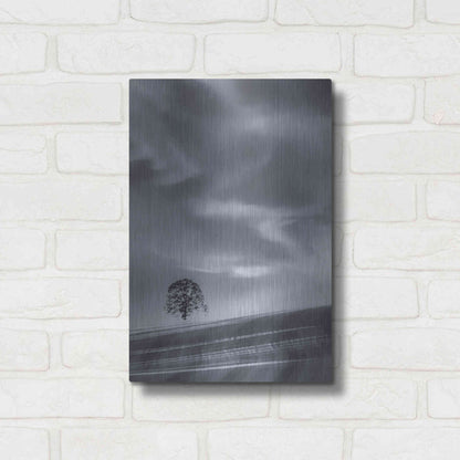 Luxe Metal Art  'Lone Tree On A Hillside'  by Don Schwartz, Metal Wall Art,12x16