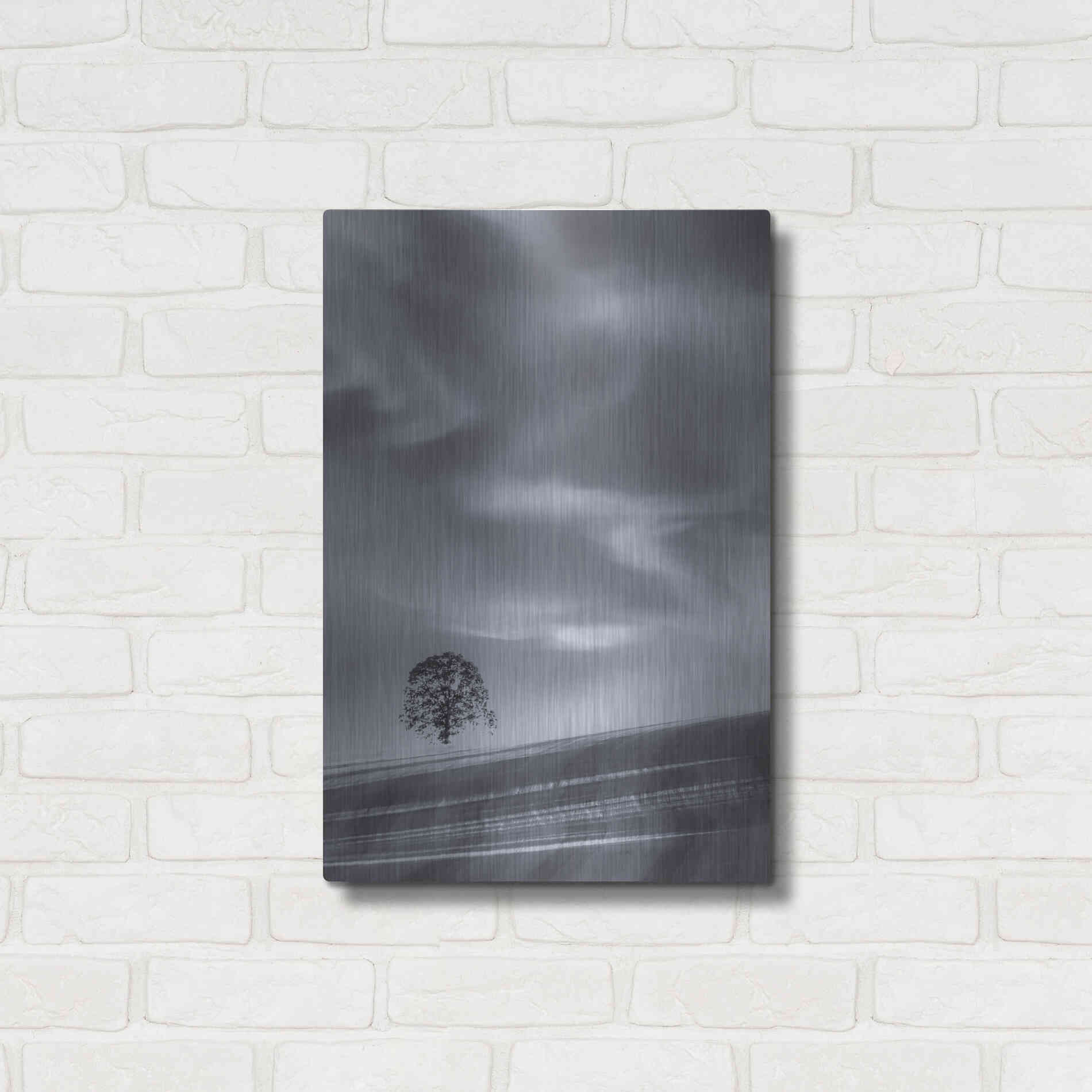 Luxe Metal Art  'Lone Tree On A Hillside'  by Don Schwartz, Metal Wall Art,16x24