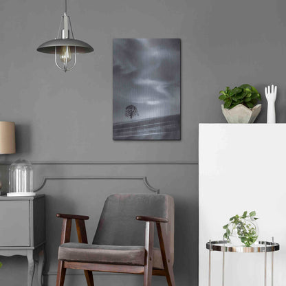 Luxe Metal Art  'Lone Tree On A Hillside'  by Don Schwartz, Metal Wall Art,16x24