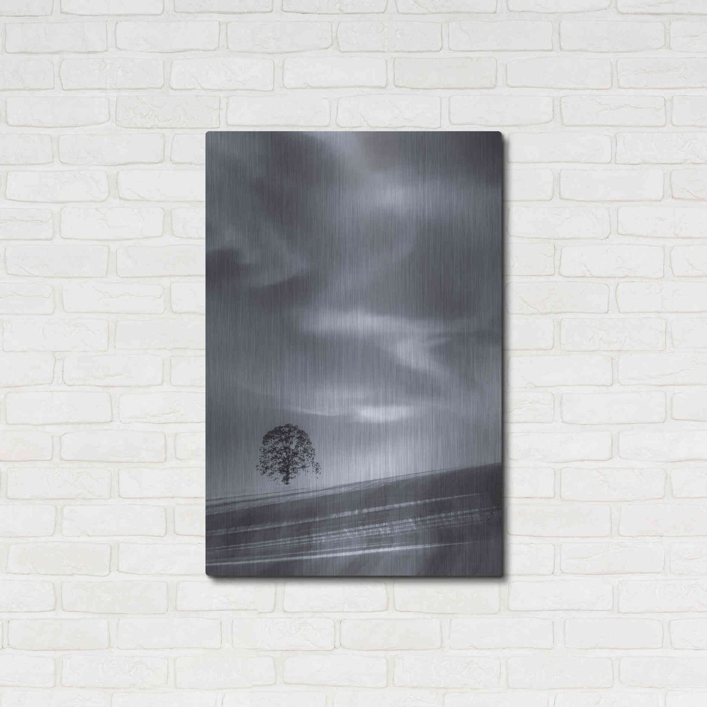 Luxe Metal Art  'Lone Tree On A Hillside'  by Don Schwartz, Metal Wall Art,24x36