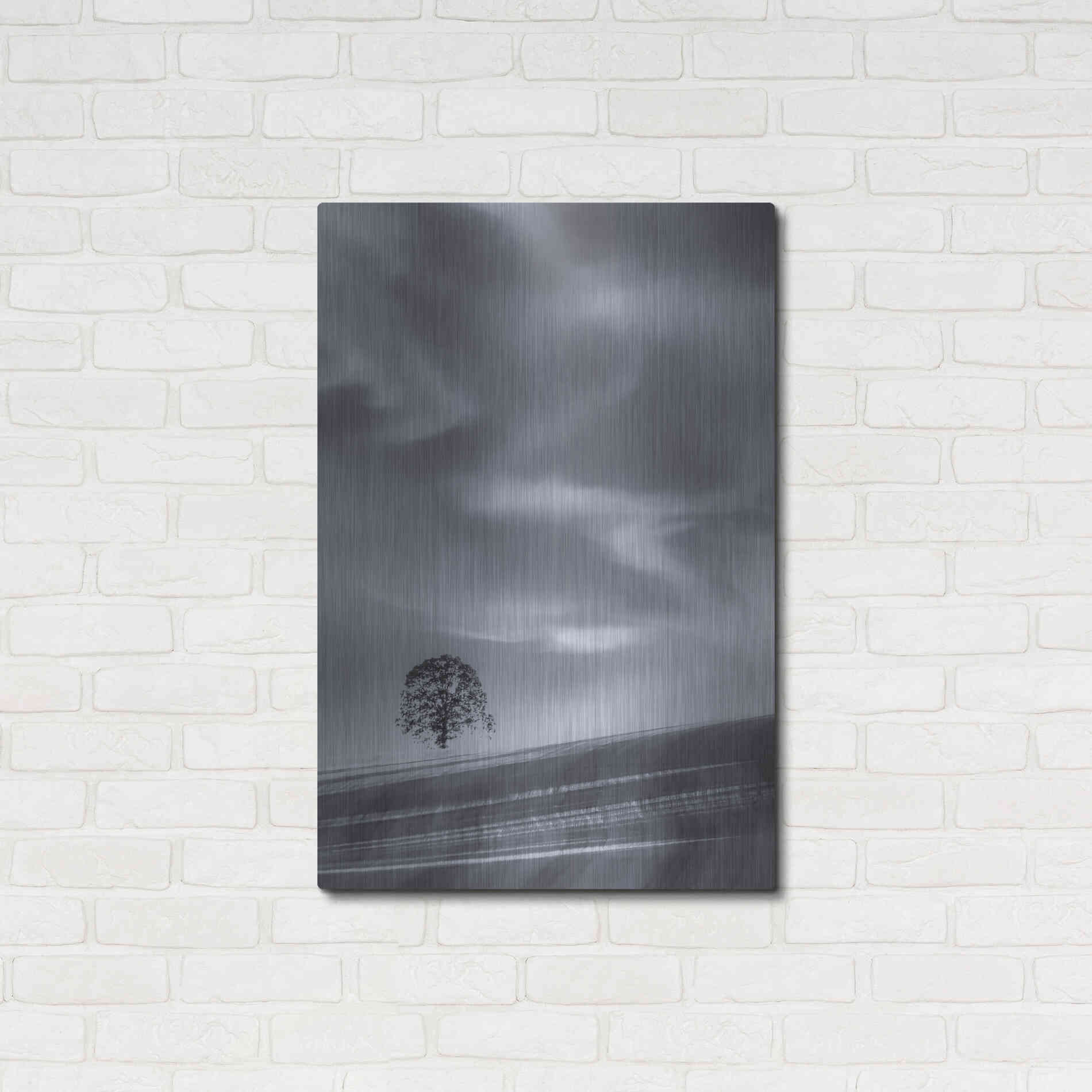 Luxe Metal Art  'Lone Tree On A Hillside'  by Don Schwartz, Metal Wall Art,24x36