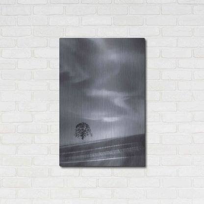 Luxe Metal Art  'Lone Tree On A Hillside'  by Don Schwartz, Metal Wall Art,24x36