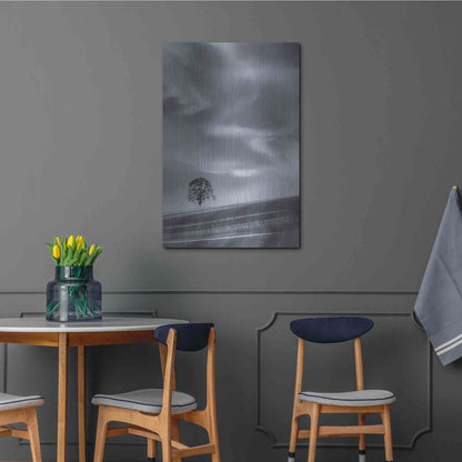 Luxe Metal Art  'Lone Tree On A Hillside'  by Don Schwartz, Metal Wall Art,24x36