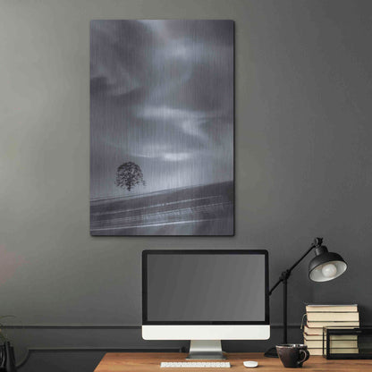 Luxe Metal Art  'Lone Tree On A Hillside'  by Don Schwartz, Metal Wall Art,24x36