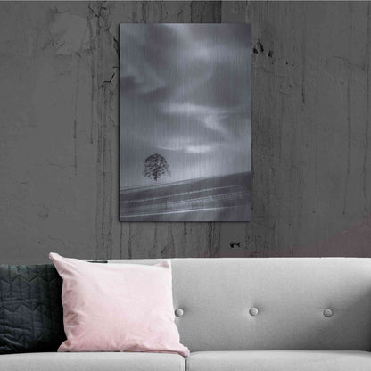 Luxe Metal Art  'Lone Tree On A Hillside'  by Don Schwartz, Metal Wall Art,24x36