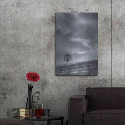 Luxe Metal Art  'Lone Tree On A Hillside'  by Don Schwartz, Metal Wall Art,24x36