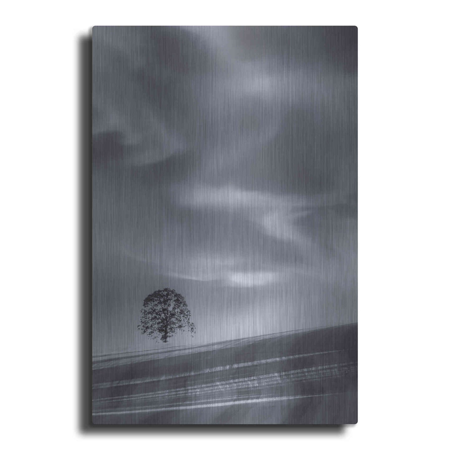 Luxe Metal Art  'Lone Tree On A Hillside'  by Don Schwartz, Metal Wall Art