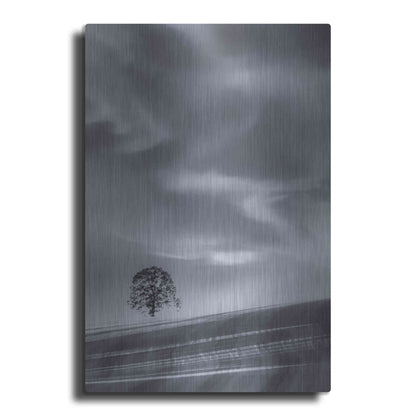 Luxe Metal Art  'Lone Tree On A Hillside'  by Don Schwartz, Metal Wall Art
