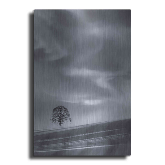 Luxe Metal Art  'Lone Tree On A Hillside'  by Don Schwartz, Metal Wall Art