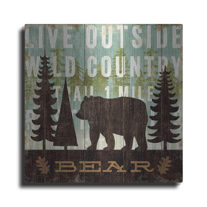 Luxe Metal Art 'Simple Living Bear' by Michael Mullan, Metal Wall Art