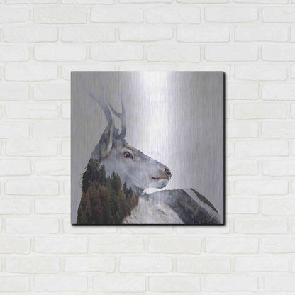 Luxe Metal Art 'Alpine Stag' by Karen Smith Metal Wall Art,24x24