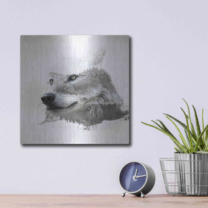 Luxe Metal Art 'Wolf In Ice' by Karen Smith Metal Wall Art,12x12