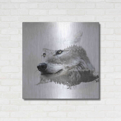 Luxe Metal Art 'Wolf In Ice' by Karen Smith Metal Wall Art,36x36
