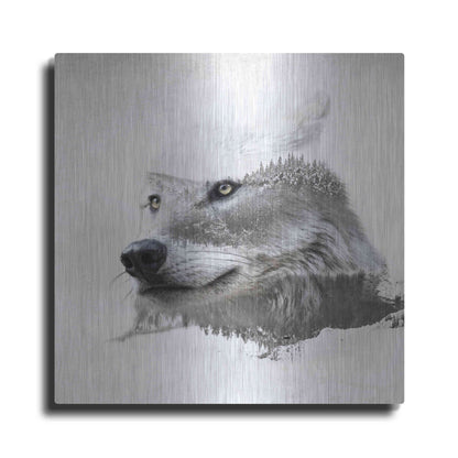 Luxe Metal Art 'Wolf In Ice' by Karen Smith Metal Wall Art