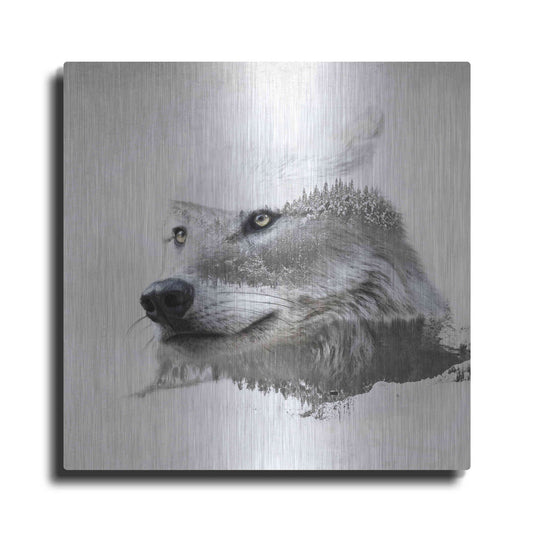 Luxe Metal Art 'Wolf In Ice' by Karen Smith Metal Wall Art