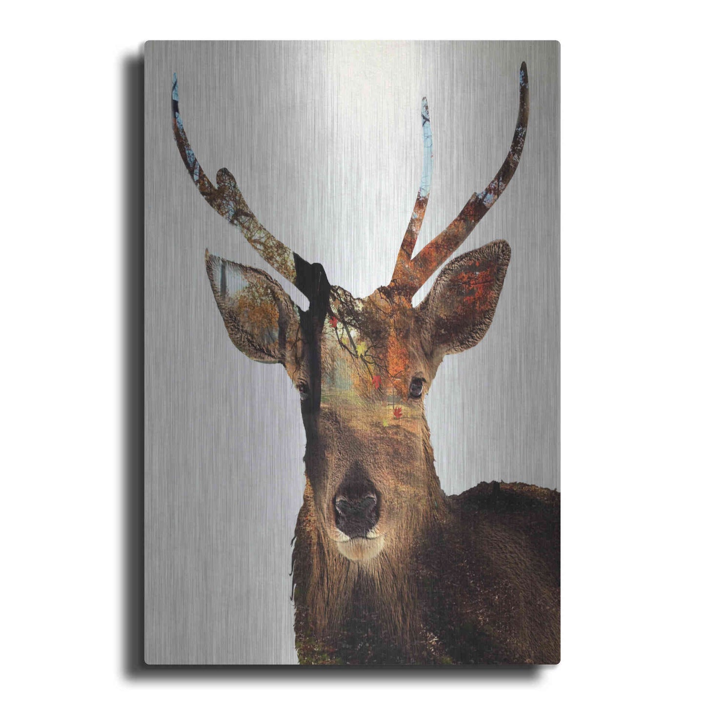 Luxe Metal Art 'Stag Forest' by Karen Smith Metal Wall Art