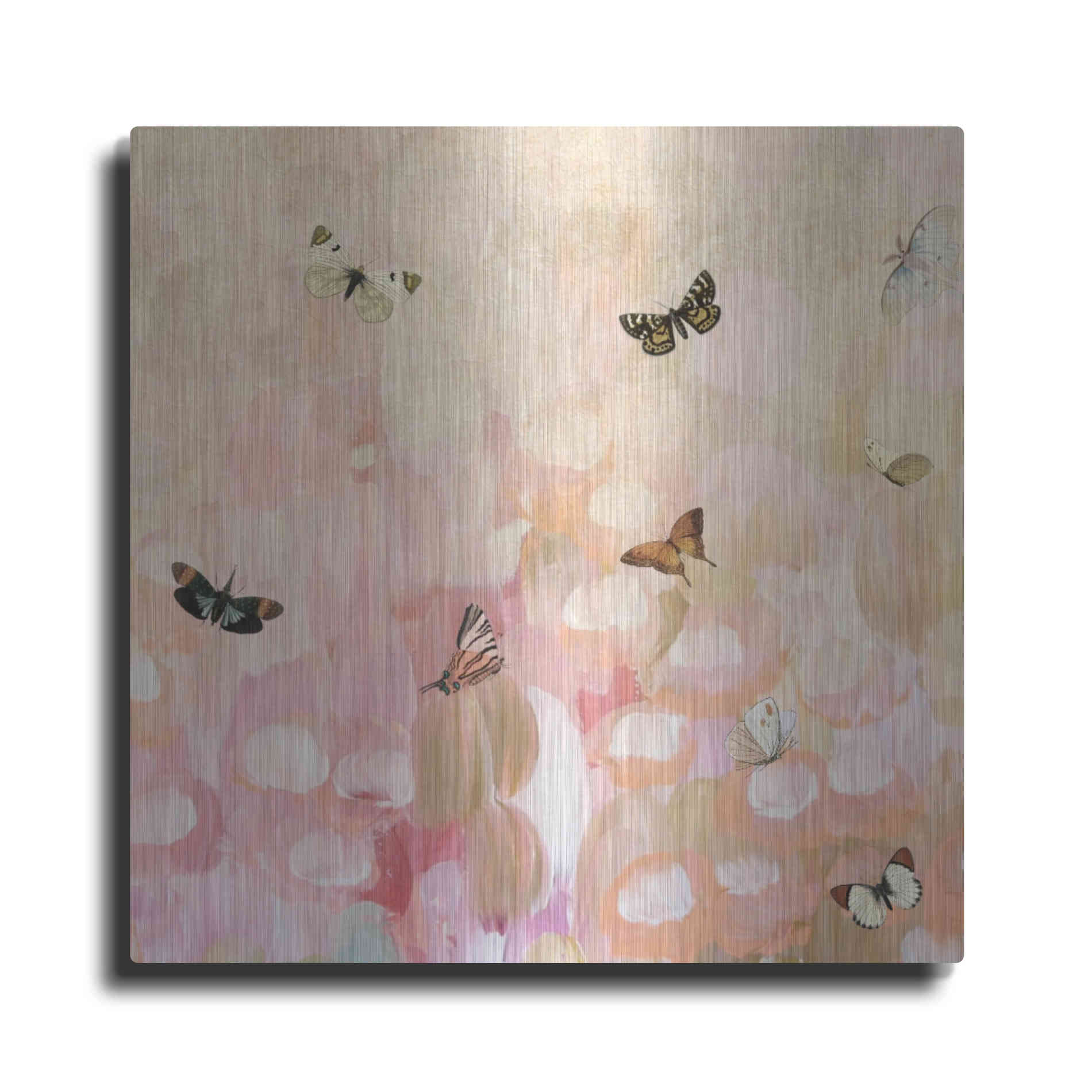 Luxe Metal Art 'Butterfly by 8' by Karen Smith Metal Wall Art