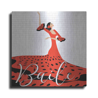 Luxe Metal Art 'Baile' by Karen Smith Metal Wall Art