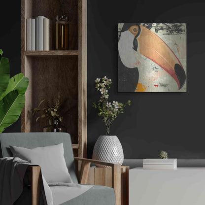 Luxe Metal Art 'Toucan Play 2' by Karen Smith Metal Wall Art,24x24