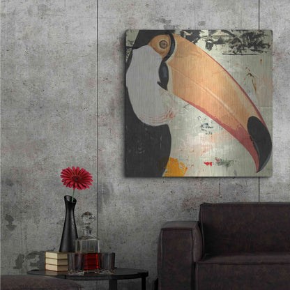 Luxe Metal Art 'Toucan Play 2' by Karen Smith Metal Wall Art,36x36