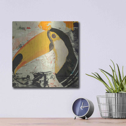 Luxe Metal Art 'Toucan Play 1' by Karen Smith Metal Wall Art,12x12