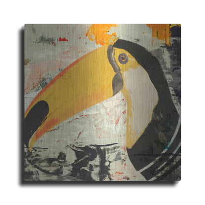 Luxe Metal Art 'Toucan Play 1' by Karen Smith Metal Wall Art