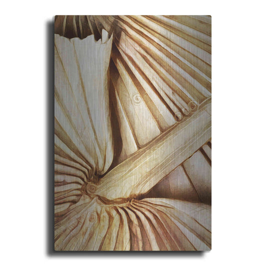 Luxe Metal Art 'Natural Dried Palms 2' by Ashley Aldridge Metal Wall Art