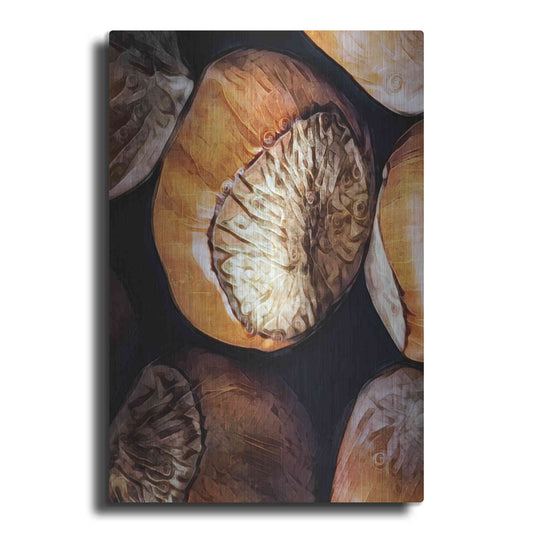 Luxe Metal Art 'Fruit Of The Hazel 3' by Ashley Aldridge Metal Wall Art