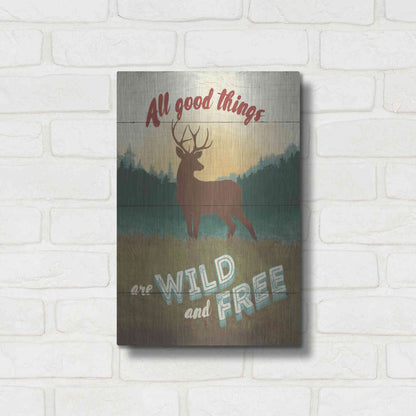 Luxe Metal Art 'Discover the Wild II' by Janelle Penner, Metal Wall Art,12x16