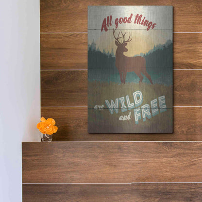 Luxe Metal Art 'Discover the Wild II' by Janelle Penner, Metal Wall Art,12x16