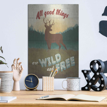 Luxe Metal Art 'Discover the Wild II' by Janelle Penner, Metal Wall Art,12x16