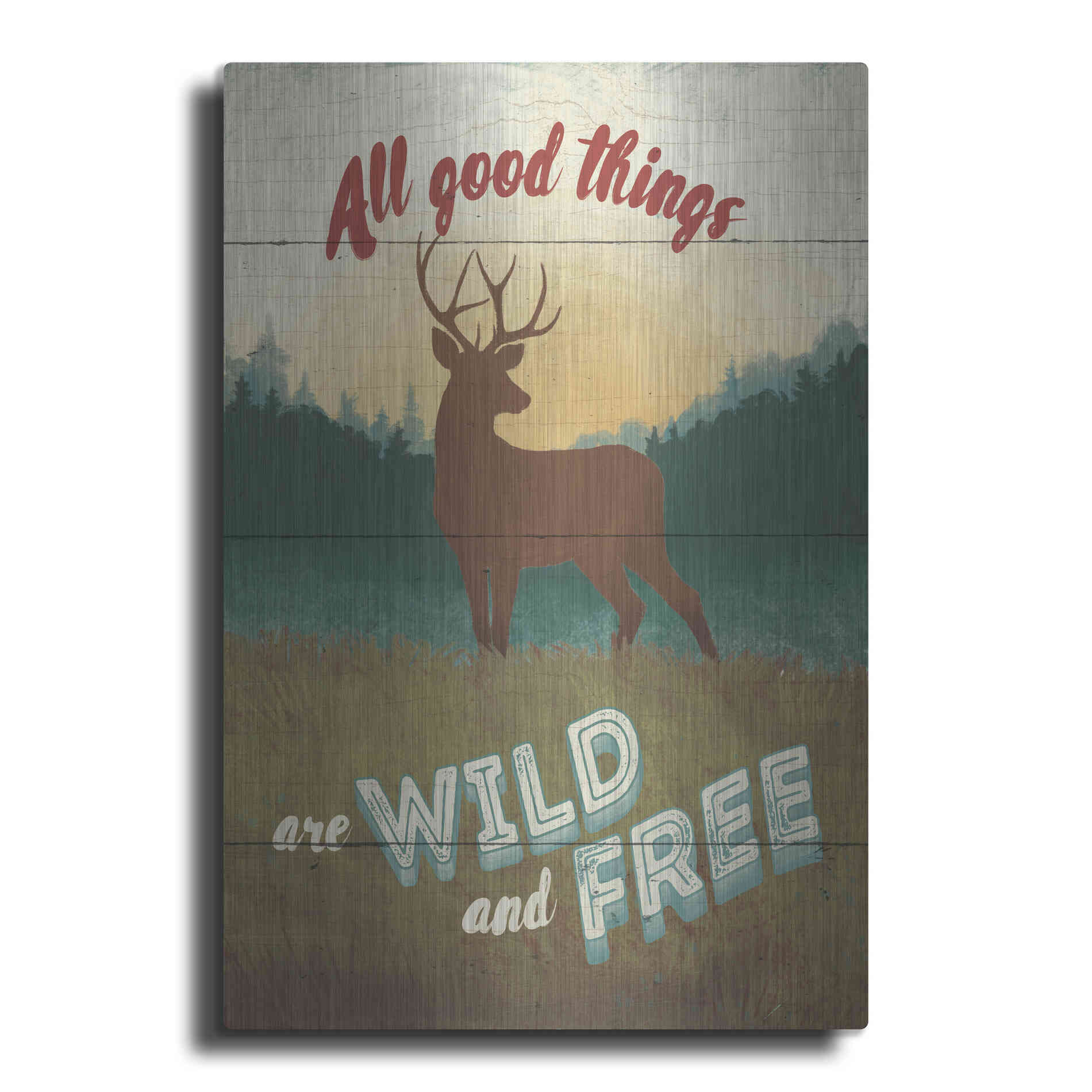 Luxe Metal Art 'Discover the Wild II' by Janelle Penner, Metal Wall Art