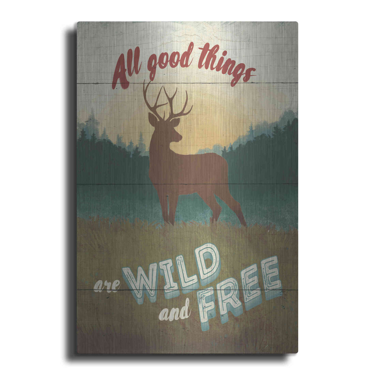 Luxe Metal Art 'Discover the Wild II' by Janelle Penner, Metal Wall Art