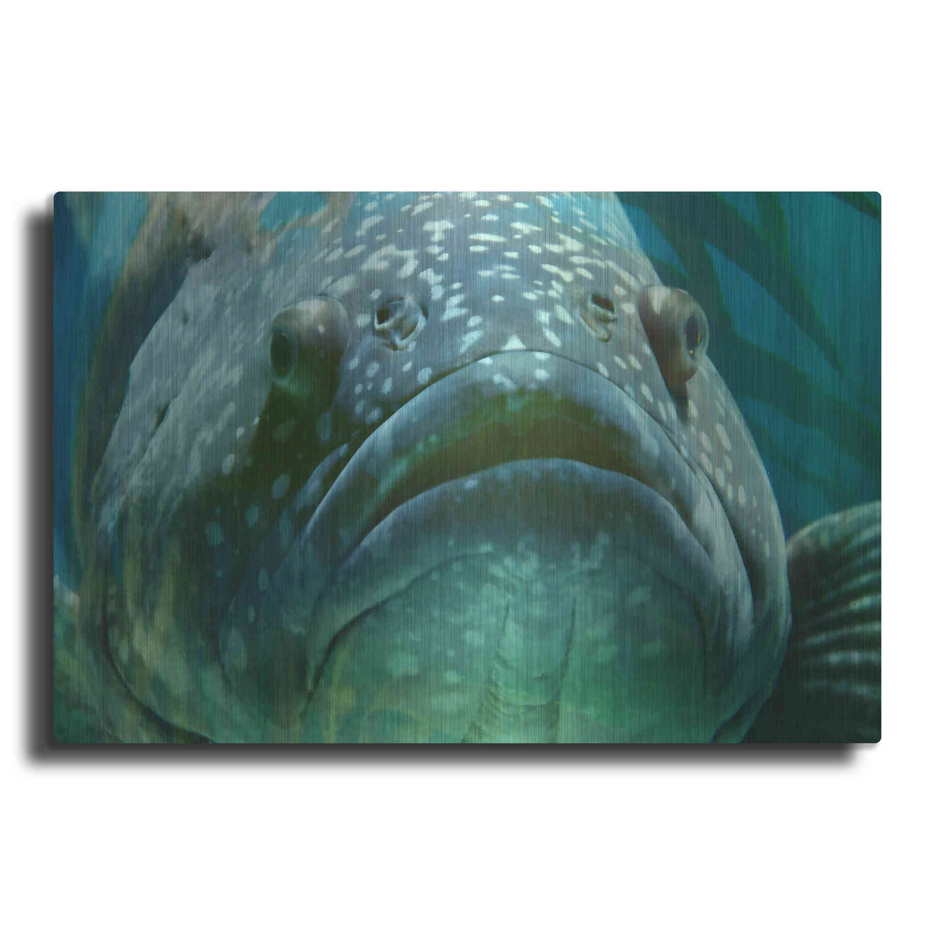 Luxe Metal Art 'Turquoisesplash Two' by Steve Hunziker Metal Wall Art