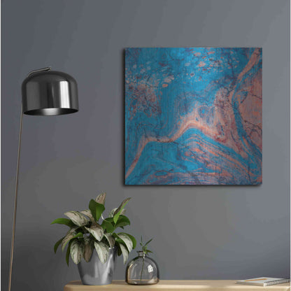 Luxe Metal Art 'Craquelure One' by Steve Hunziker Metal Wall Art,24x24