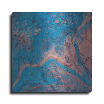 Luxe Metal Art 'Craquelure One' by Steve Hunziker Metal Wall Art