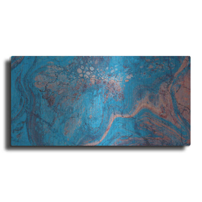 Luxe Metal Art 'Craquelure Three' by Steve Hunziker Metal Wall Art