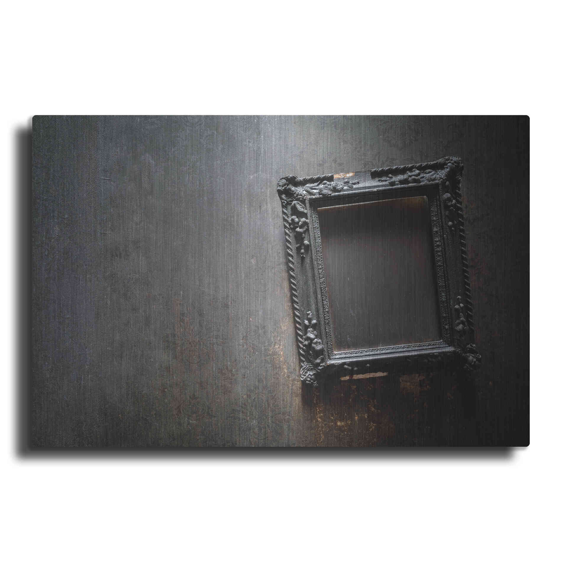 Luxe Metal Art 'Burned Frame' by Roman Robroek Metal Wall Art