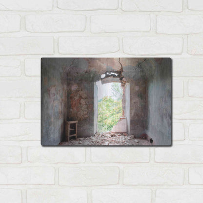 Luxe Metal Art 'Crack In The Wall' by Roman Robroek Metal Wall Art,16x12
