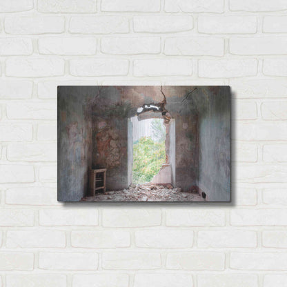 Luxe Metal Art 'Crack In The Wall' by Roman Robroek Metal Wall Art,24x16